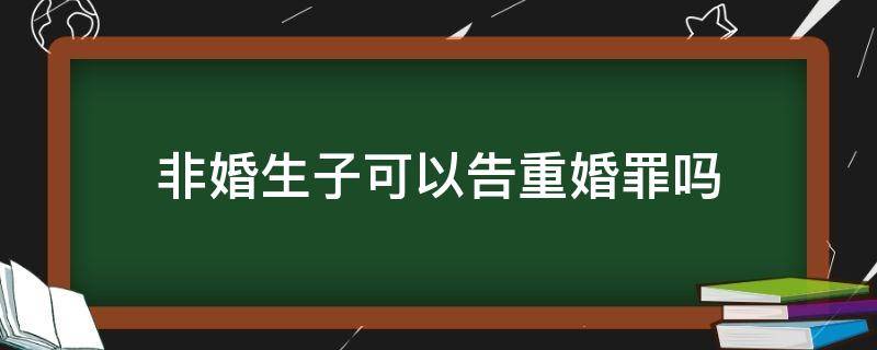 非婚生子可以告重婚罪吗 非婚生子算重婚吗
