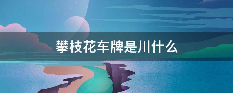 攀枝花车牌是川什么 攀枝花的车牌字母是多少