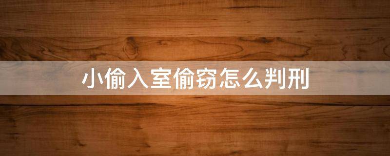 小偷入室偷窃怎么判刑（入室盗窃没偷到东西一般怎么判刑）