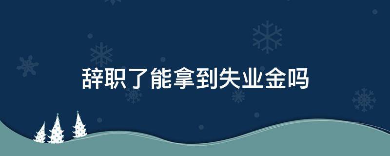 辞职了能拿到失业金吗 自己辞职的能拿到失业金吗