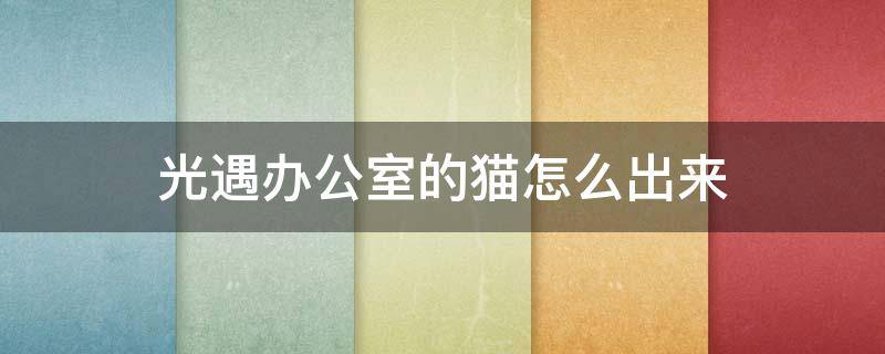 光遇办公室的猫怎么出来 光遇办公室猫猫在哪