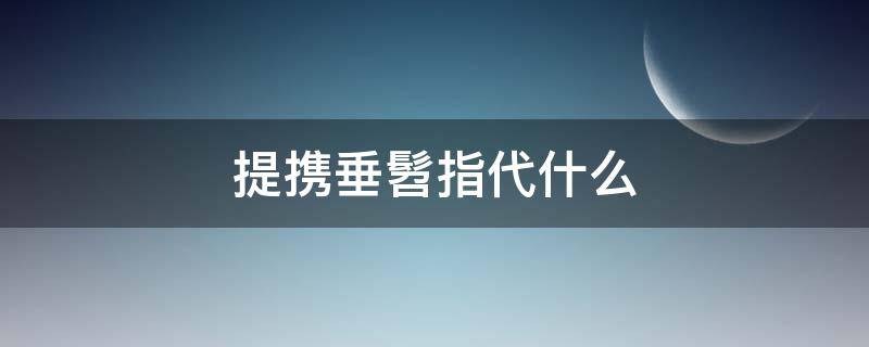 提携垂髫指代什么 提携,垂髻是什么意思