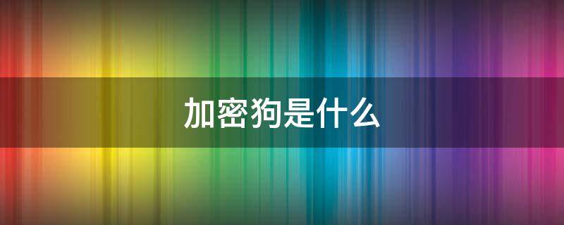 加密狗是什么（wifi加密狗是什么）