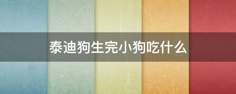 泰迪狗生完小狗吃什么（泰迪狗生完小狗吃什么下奶）