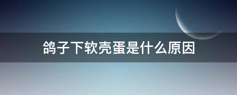 鸽子下软壳蛋是什么原因 鸽子蛋壳软是怎么回事