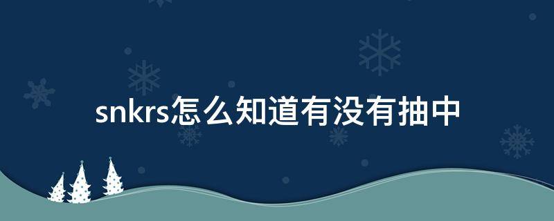 snkrs怎么知道有没有抽中 snkrs从哪看抽没抽中