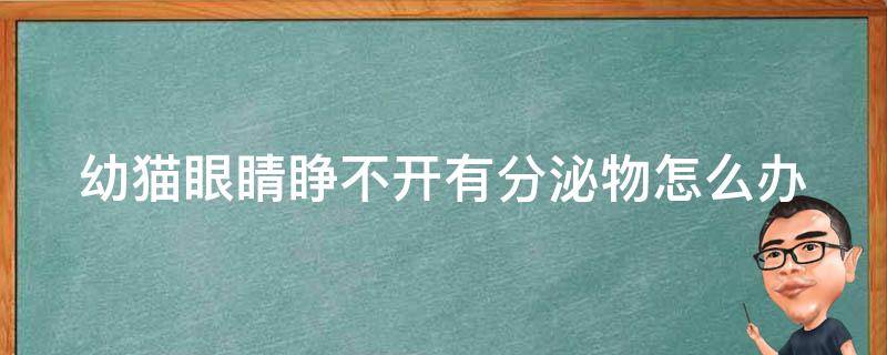 幼猫眼睛睁不开有分泌物怎么办 幼猫眼睛睁不开有分泌物怎么办眼球凸出