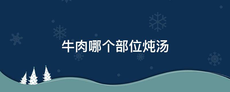 牛肉哪个部位炖汤 牛肉哪个部位炖汤最嫩
