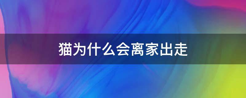 猫为什么会离家出走（猫为什么会离家出走一直不回来）