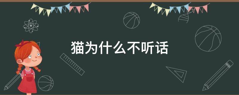 猫为什么不听话（猫为什么不听话我打了好几回）