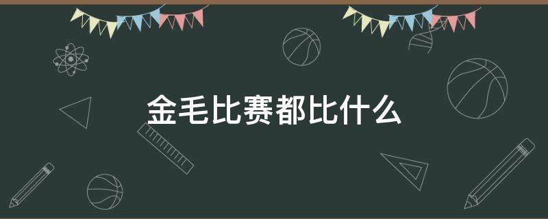 金毛比赛都比什么 金毛比赛都是比什么