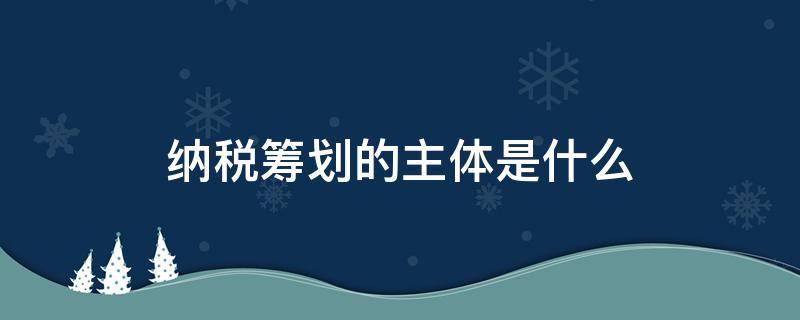 纳税筹划的主体是什么（纳税筹划的主体是(）