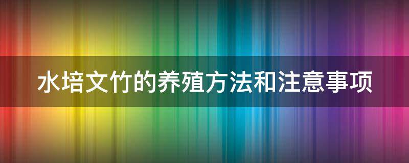 水培文竹的养殖方法和注意事项（为什么家里不能养文竹）