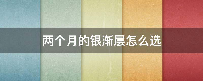 两个月的银渐层怎么选（银渐层要怎么挑选）