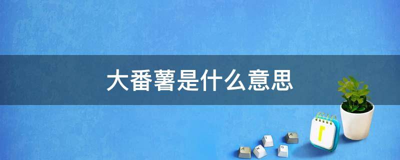 大番薯是什么意思 广东话大番薯是什么意思