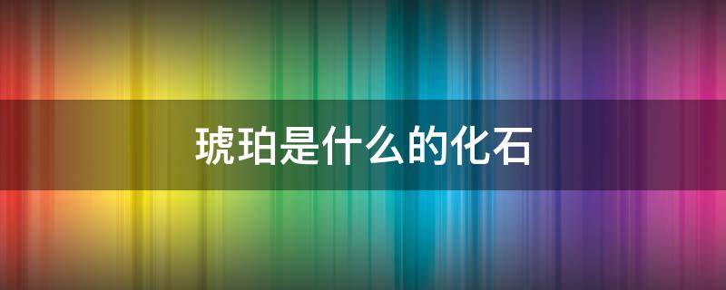 琥珀是什么的化石 为什么化石叫做琥珀