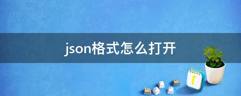 json格式怎么打开（手机json格式怎么打开）