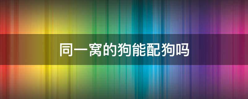 同一窝的狗能配狗吗 一窝的狗狗能不能配