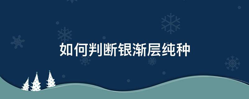 如何判断银渐层纯种（如何判断银渐层是否纯种）