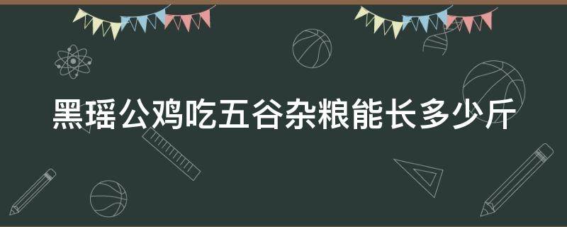 黑瑶公鸡吃五谷杂粮能长多少斤 黑瑶公鸡可以长几斤