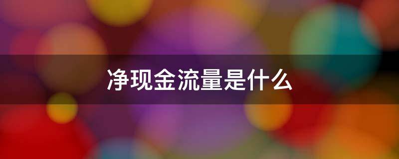 净现金流量是什么（未来净现金流量是什么）