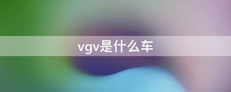 vgv是什么车（车标vgv是什么车）