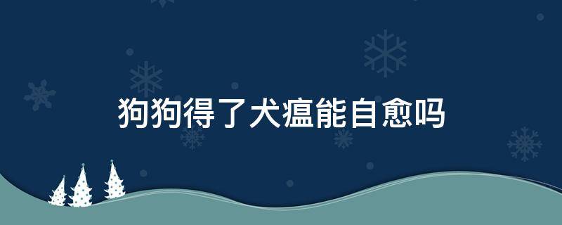 狗狗得了犬瘟能自愈吗 狗狗患上犬瘟能自己好吗