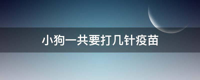 小狗一共要打几针疫苗（小狗总共要打几针疫苗）