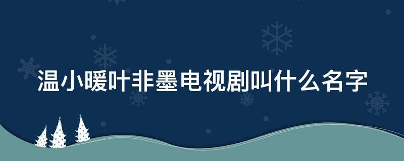 温小暖叶非墨电视剧叫什么名字（温小暖和叶非墨的小说）