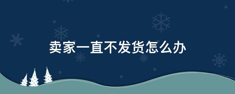 卖家一直不发货怎么办（淘宝买的东西卖家一直不发货怎么办）