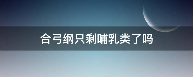 合弓纲只剩哺乳类了吗 合弓纲和哺乳纲