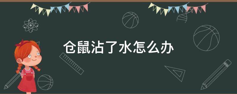 仓鼠沾了水怎么办 仓鼠沾水了怎么处理?
