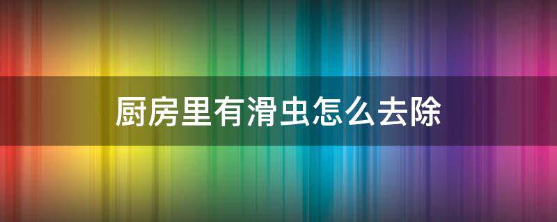 厨房里有滑虫怎么去除 家里厨房总有滑虫出现怎么办