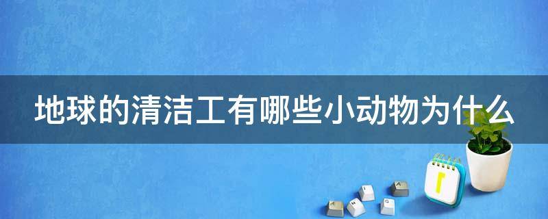 地球的清洁工有哪些小动物为什么