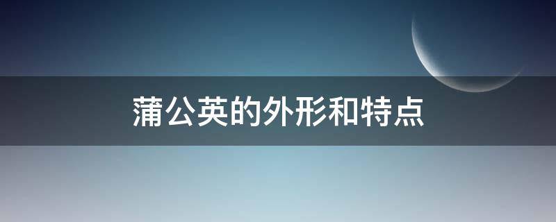 蒲公英的外形和特点 蒲公英的外形和特点的小练笔