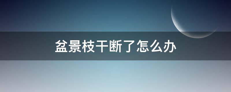 盆景枝干断了怎么办 盆景树枝干枯怎么办