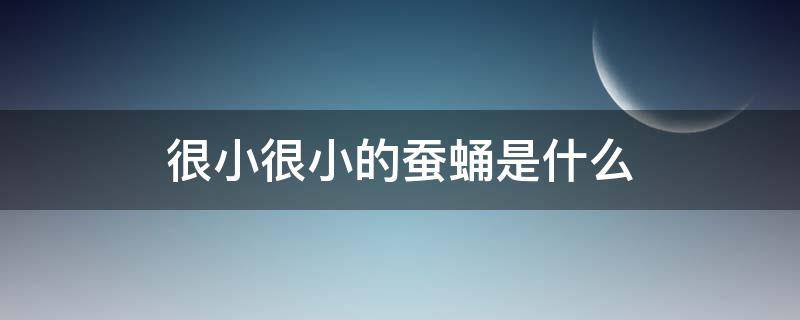 很小很小的蚕蛹是什么（小小的蚕蛹叫什么）