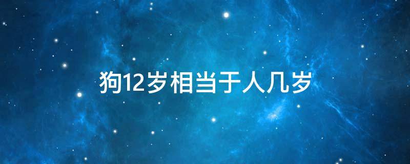 狗12岁相当于人几岁（狗12岁相当于人多大年龄）