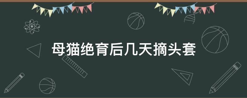 母猫绝育后几天摘头套（母公猫做绝育三天可以摘头套了吗）