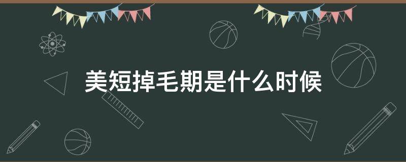 美短掉毛期是什么时候 美短掉毛期持续多久