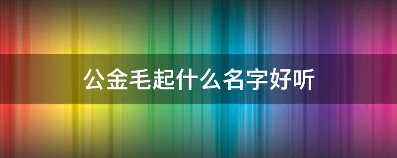 公金毛起什么名字好听 公金毛起什么名字好听的名字