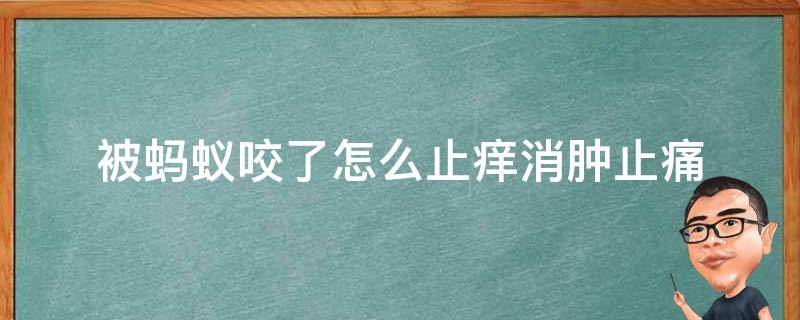 被蚂蚁咬了怎么止痒消肿止痛 被蚂蚁咬后怎么消肿止痛