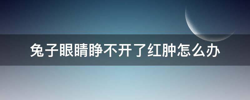 兔子眼睛睁不开了红肿怎么办 兔子一只眼睛睁不开肿了怎么办