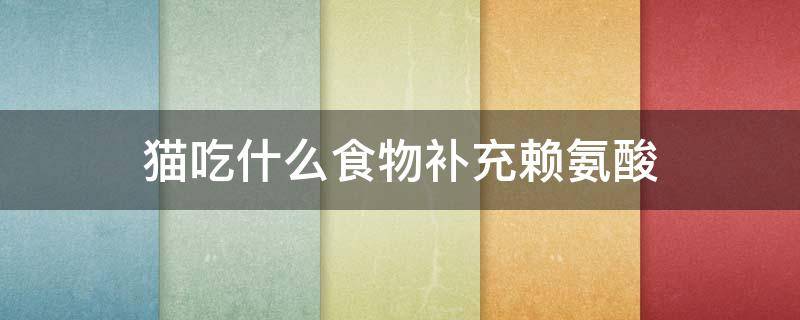 猫吃什么食物补充赖氨酸（赖氨酸给猫吃好吗）