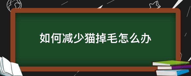 如何减少猫掉毛怎么办（怎样减轻猫咪掉毛）