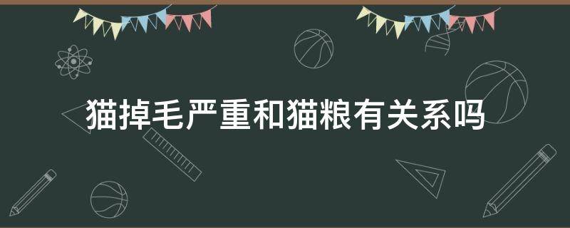 猫掉毛严重和猫粮有关系吗 猫粮不好猫咪会脱毛吗