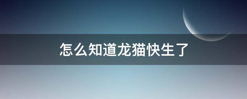 怎么知道龙猫快生了 龙猫快生的症状