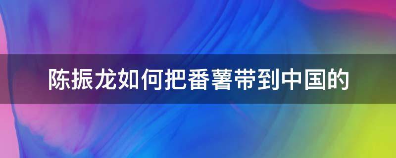 陈振龙如何把番薯带到中国的 番薯 陈振龙