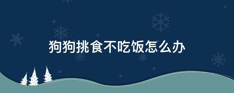 狗狗挑食不吃饭怎么办 狗狗不吃东西挑食怎么办