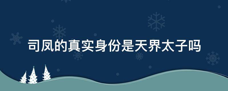 司凤的真实身份是天界太子吗 司凤是不是天界太子